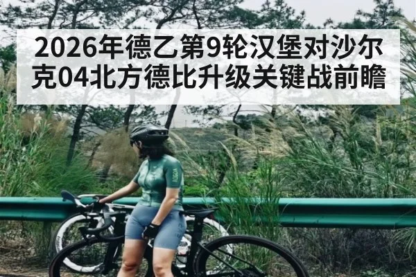 2026年德乙第9轮汉堡对沙尔克04北方德比升级关键战前瞻