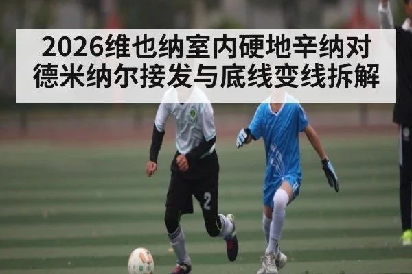 2026维也纳室内硬地辛纳对德米纳尔接发与底线变线拆解